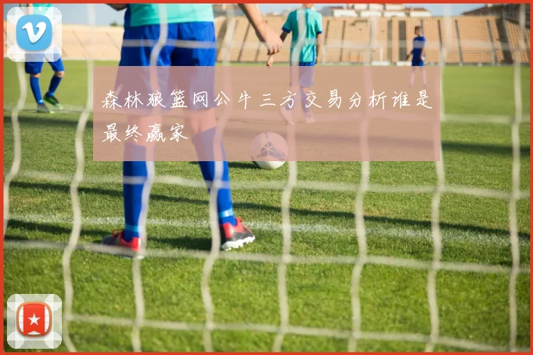 森林狼篮网公牛三方交易分析谁是最终赢家
